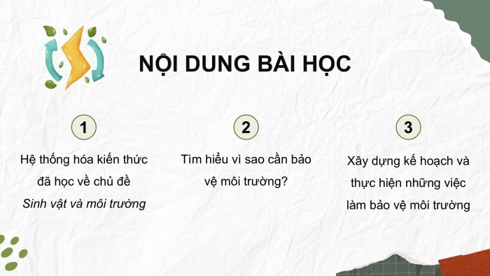 Giáo án điện tử Khoa học 5 cánh diều Bài Ôn tập chủ đề Sinh vật và môi trường