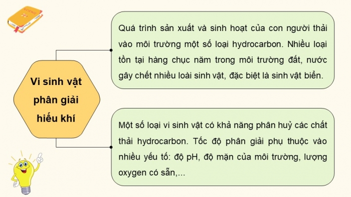 Giáo án điện tử chuyên đề Sinh học 10 kết nối Bài 10: Vi sinh vật trong phân giải các hợp chất làm ô nhiễm môi trường