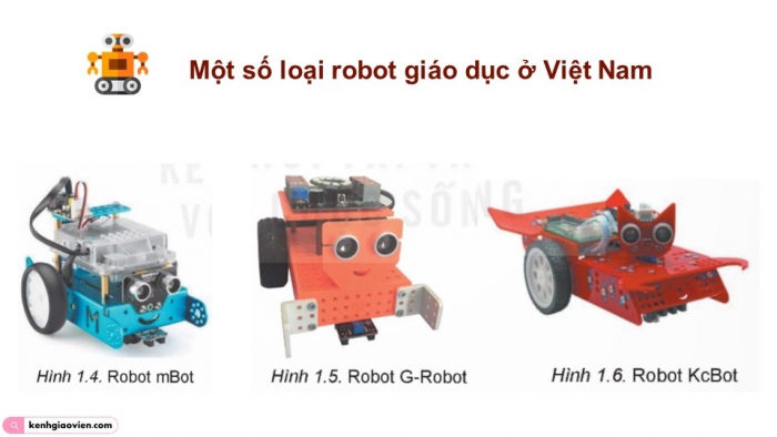 Giáo án điện tử chuyên đề Khoa học máy tính 10 kết nối Ôn tập và Kiểm tra
