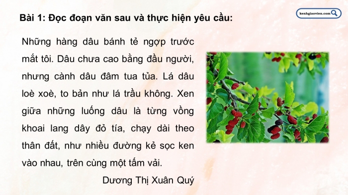 Giáo án điện tử Tiếng Việt 5 chân trời Bài 3: Liên kết các câu trong đoạn văn bằng cách lặp từ ngữ