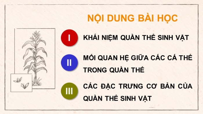 Giáo án điện tử Sinh học 12 chân trời Bài 21: Quần thể sinh vật