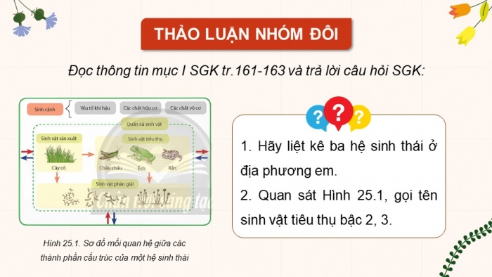 Giáo án điện tử Sinh học 12 chân trời Bài 25: Hệ sinh thái