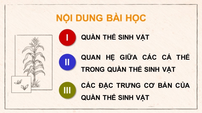 Giáo án điện tử Sinh học 12 cánh diều Bài 21: Sinh thái học quần thể