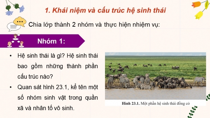 Giáo án điện tử Sinh học 12 cánh diều Bài 23: Hệ sinh thái