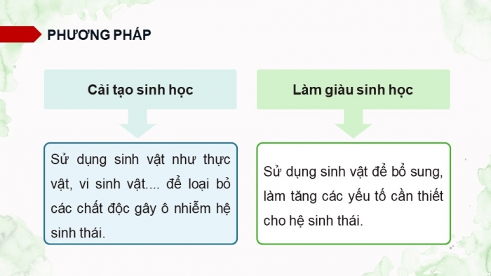 Giáo án điện tử Sinh học 12 cánh diều Bài 25: Sinh thái học phục hồi, bảo tồn