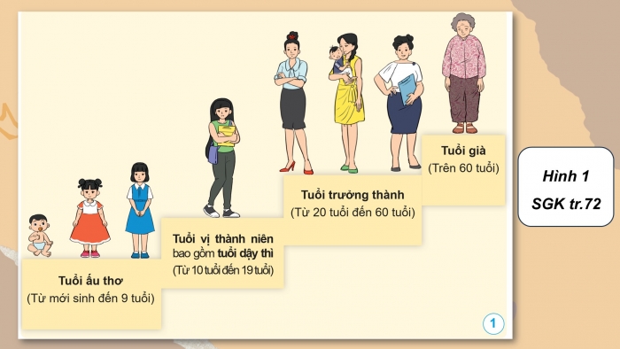 Giáo án điện tử Khoa học 5 cánh diều Bài 16: Quá trình phát triển của con người