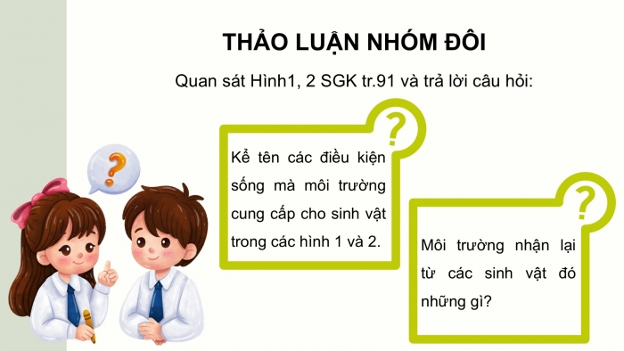 Giáo án điện tử Khoa học 5 cánh diều Bài 19: Chức năng của môi trường đối với sinh vật