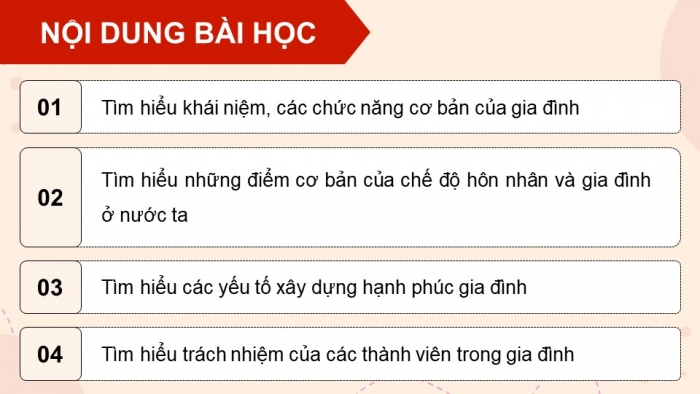 Giáo án điện tử chuyên đề Kinh tế pháp luật 10 kết nối Bài 3: Gia đình