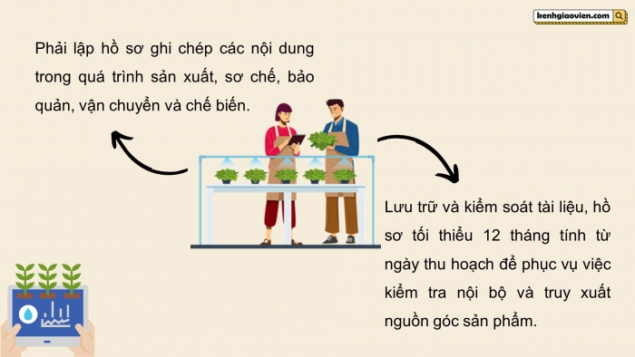 Giáo án điện tử chuyên đề Công nghệ trồng trọt 10 kết nối Bài 12: Các bước trong quy trình trồng trọt theo tiêu chuẩn VietGAP