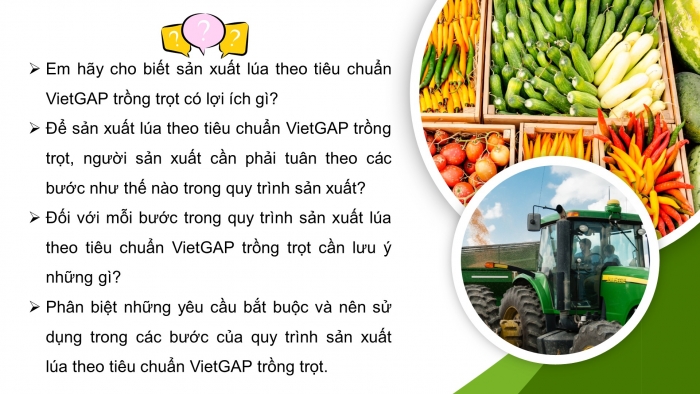 Giáo án điện tử chuyên đề Công nghệ trồng trọt 10 kết nối Bài 13: Một số mô hình trồng trọt theo tiêu chuẩn VietGAP