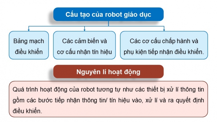 Giáo án điện tử chuyên đề Khoa học máy tính 10 kết nối Ôn tập và Kiểm tra