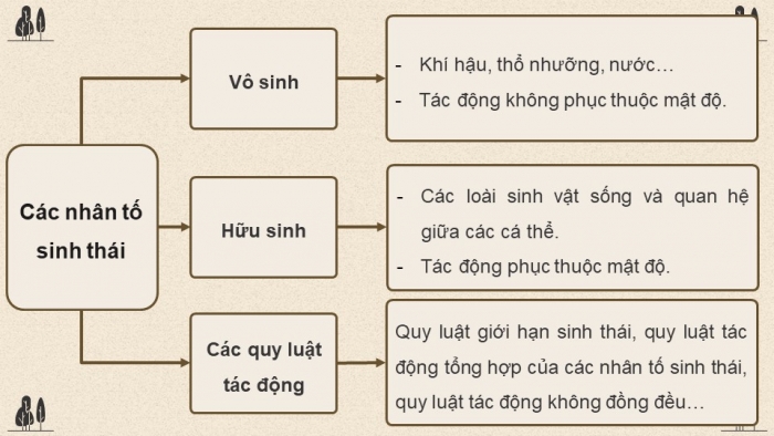 Giáo án điện tử Sinh học 12 chân trời Bài Ôn tập Chương 6