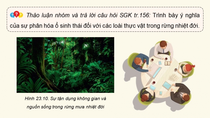 Giáo án điện tử Sinh học 12 chân trời Bài 23: Quần xã sinh vật (P2)