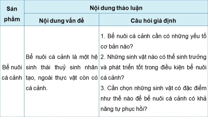 Giáo án điện tử Sinh học 12 chân trời Bài 26: Thực hành Thiết kế hệ sinh thái