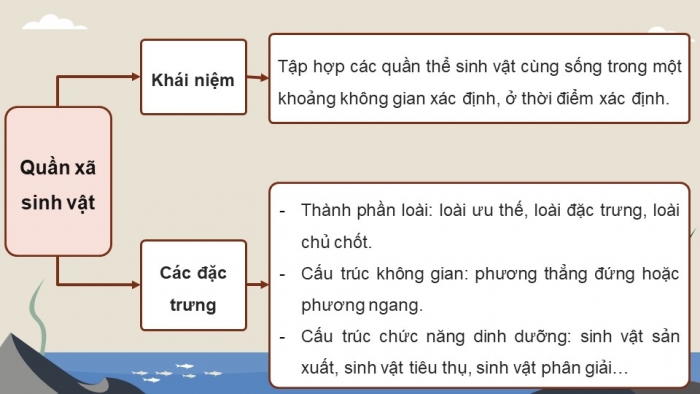 Giáo án điện tử Sinh học 12 chân trời Bài Ôn tập Chương 7