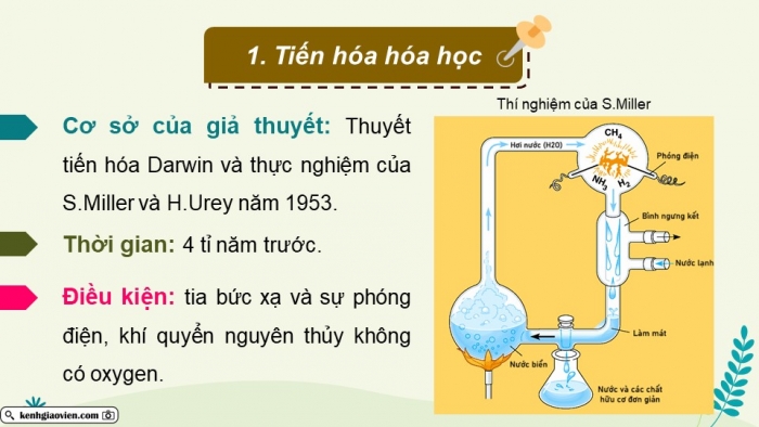 Giáo án điện tử Sinh học 12 cánh diều Bài 19: Sự phát sinh, phát triển sự sống trên Trái Đất và hình thành loài người