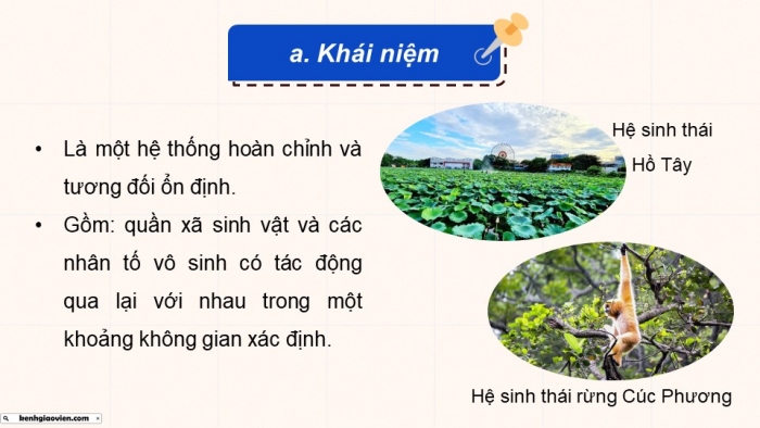 Giáo án điện tử Sinh học 12 cánh diều Bài 23: Hệ sinh thái