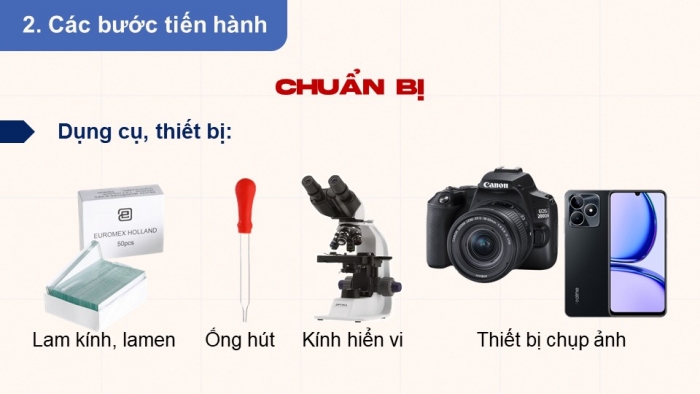 Giáo án điện tử Sinh học 12 cánh diều Bài 23: Hệ sinh thái (P2)