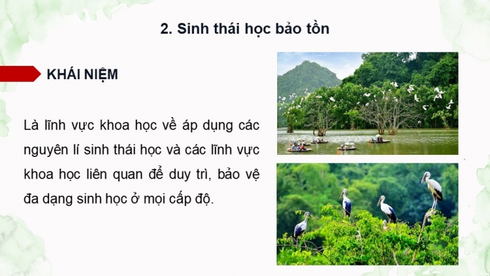 Giáo án điện tử Sinh học 12 cánh diều Bài 25: Sinh thái học phục hồi, bảo tồn