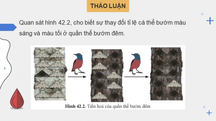 Giáo án điện tử KHTN 9 cánh diều - Phân môn Sinh học Bài 42: Giới thiệu về tiến hóa, chọn lọc nhân tạo và chọn lọc tự nhiên