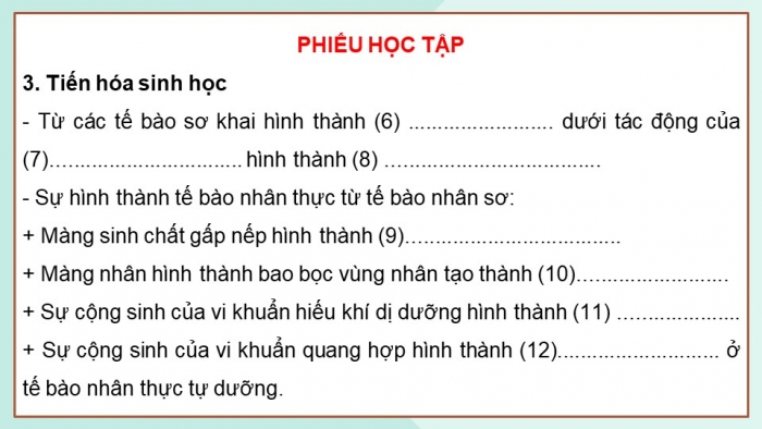 Giáo án điện tử KHTN 9 cánh diều - Phân môn Sinh học Bài 44: Sự phát sinh và phát triển sự sống trên Trái Đất