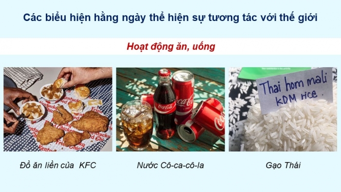 Giáo án điện tử Lịch sử 9 kết nối Bài 22: Cách mạng khoa học – kĩ thuật và xu thế toàn cầu hóa (P2)