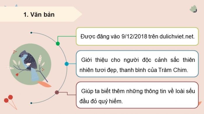 Giáo án PPT dạy thêm Ngữ văn 9 Cánh diều bài 3: Vườn quốc gia Tràm Chim – Tam Nông (Theo dulichviet.net.vn)