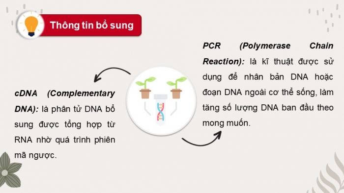 Giáo án điện tử chuyên đề Công nghệ trồng trọt 10 kết nối Bài 4: Một số ứng dụng công nghệ sinh học trong bảo vệ thực vật