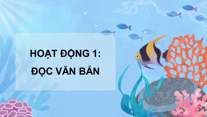 Giáo án điện tử Tiếng Việt 5 chân trời Bài 1: Vì đại dương trong xanh