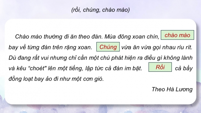 Giáo án điện tử Tiếng Việt 5 chân trời Bài 7: Luyện tập về liên kết câu trong đoạn văn