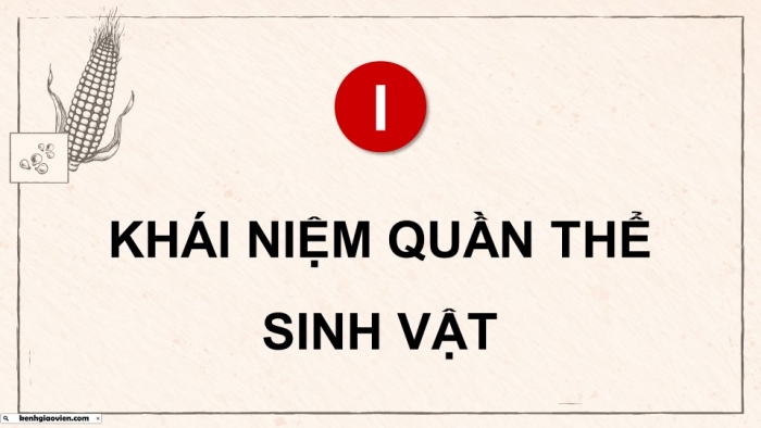 Giáo án điện tử Sinh học 12 chân trời Bài 21: Quần thể sinh vật