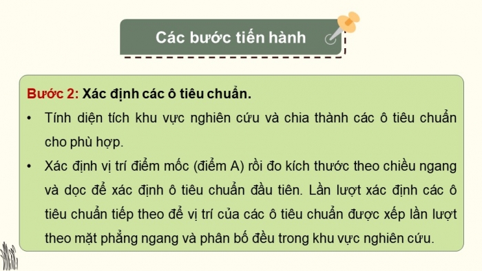 Giáo án điện tử Sinh học 12 chân trời Bài 22: Thực hành Xác định một số đặc trưng cơ bản của quần thể sinh vật