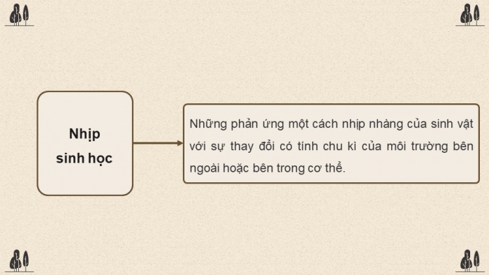 Giáo án điện tử Sinh học 12 chân trời Bài Ôn tập Chương 6