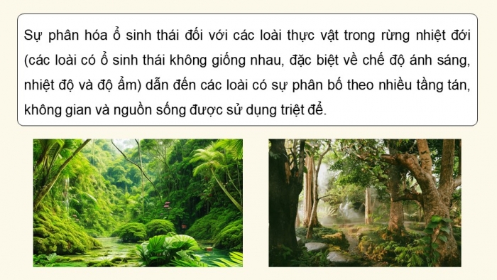 Giáo án điện tử Sinh học 12 chân trời Bài 23: Quần xã sinh vật (P2)