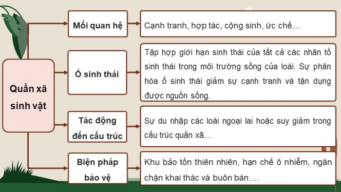 Giáo án điện tử Sinh học 12 chân trời Bài Ôn tập Chương 7