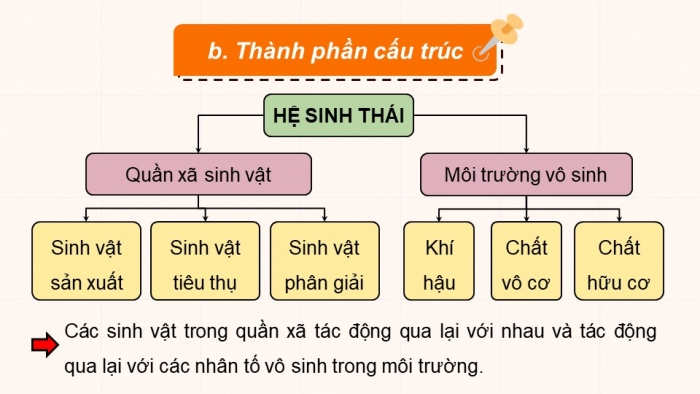 Giáo án điện tử Sinh học 12 cánh diều Bài 23: Hệ sinh thái