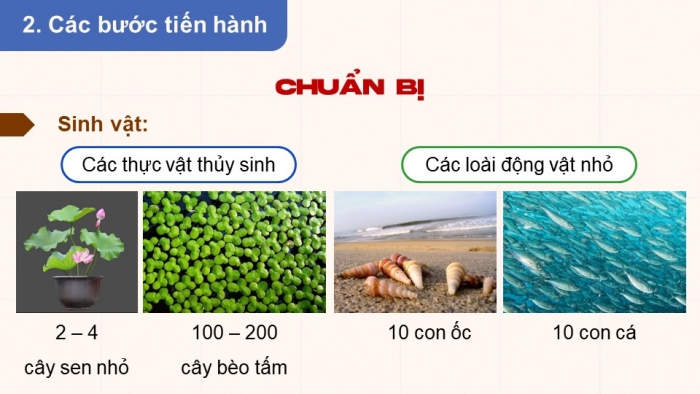 Giáo án điện tử Sinh học 12 cánh diều Bài 23: Hệ sinh thái (P2)