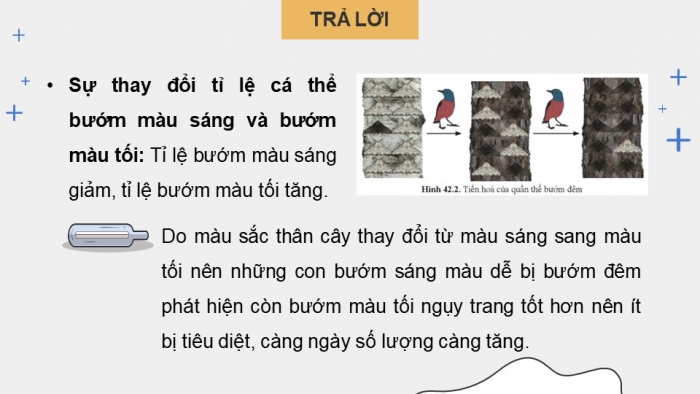 Giáo án điện tử KHTN 9 cánh diều - Phân môn Sinh học Bài 42: Giới thiệu về tiến hóa, chọn lọc nhân tạo và chọn lọc tự nhiên