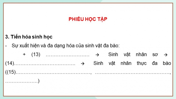 Giáo án điện tử KHTN 9 cánh diều - Phân môn Sinh học Bài 44: Sự phát sinh và phát triển sự sống trên Trái Đất