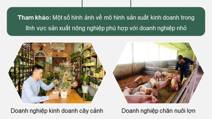 Giáo án điện tử chuyên đề Kinh tế pháp luật 10 kết nối Bài 4: Những vấn đề chung về doanh nghiệp nhỏ (P2)