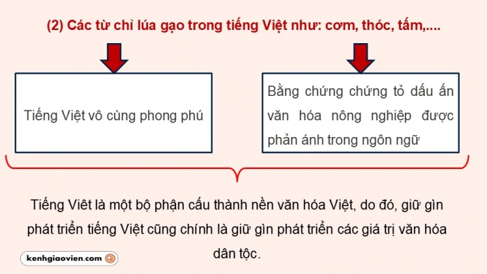 Giáo án PPT dạy thêm Ngữ văn 12 Cánh diều bài 8: Ôn tập thực hành tiếng Việt