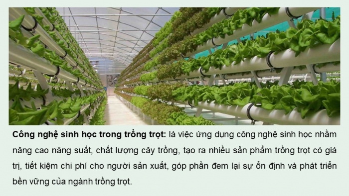 Giáo án điện tử chuyên đề Công nghệ trồng trọt 10 kết nối Bài 1: Bài mở đầu