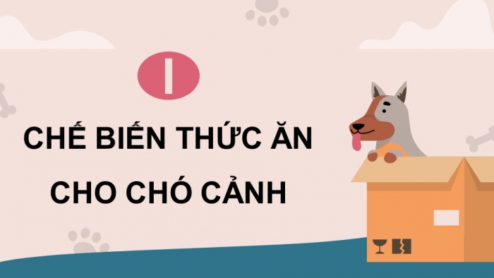 Giáo án điện tử chuyên đề Công nghệ chăn nuôi 11 kết nối Bài 10: Chế biến thức ăn cho động vật cảnh