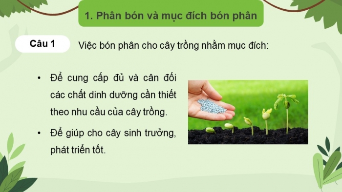 Giáo án điện tử chuyên đề Sinh học 11 chân trời Bài 2: Biện pháp kĩ thuật sử dụng dinh dưỡng khoáng để tăng năng suất cây trồng và tạo nền nông nghiệp sạch