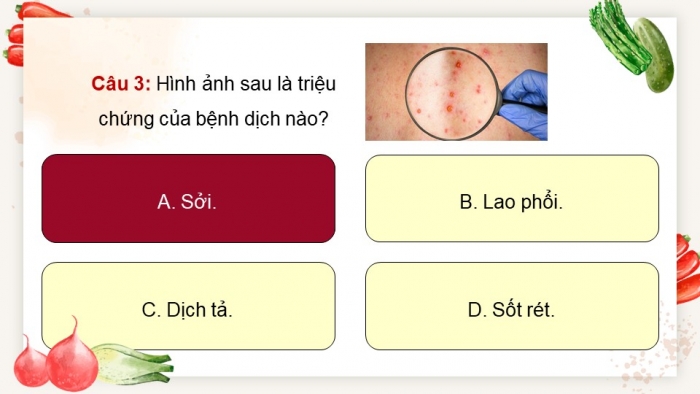 Giáo án điện tử chuyên đề Sinh học 11 chân trời Ôn tập CĐ 2