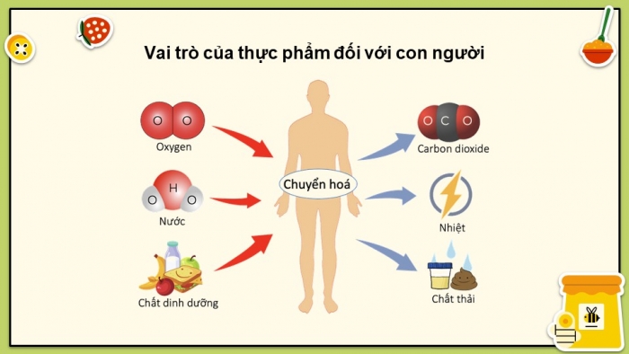 Giáo án điện tử chuyên đề Sinh học 11 chân trời Bài 10: Vệ sinh an toàn thực phẩm