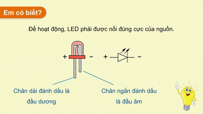 Giáo án điện tử chuyên đề Vật lí 11 cánh diều Bài 2: Thiết bị đầu ra