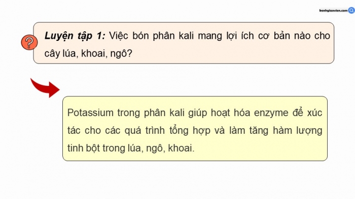 Giáo án điện tử chuyên đề Hoá học 11 cánh diều Bài 2: Phân bón vô cơ