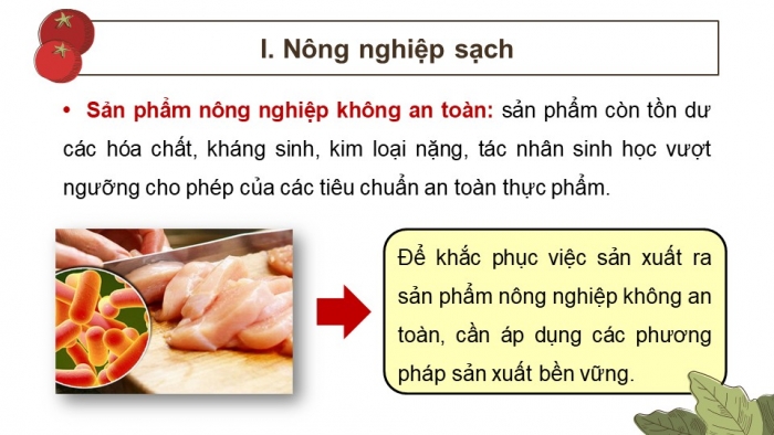 Giáo án điện tử chuyên đề Sinh học 11 cánh diều Bài 2: Nông nghiệp sạch