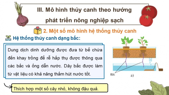 Giáo án điện tử chuyên đề Sinh học 11 cánh diều Bài 2: Nông nghiệp sạch (P2)